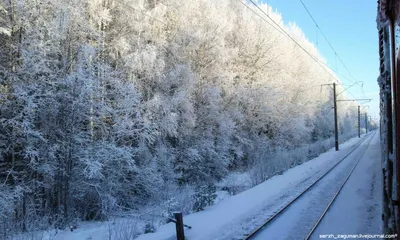 Фото с поезда зимой фотографии
