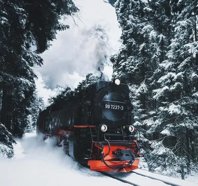 Скачать обои зима, лес, снег, поезд, паровоз, раздел другая техника в  разрешении 2048x1365