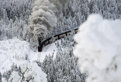 Поезд зимой едет в лесу ночью, …» — создано в Шедевруме