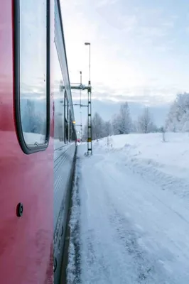 Поезд в лесу зимой (59 фото) »