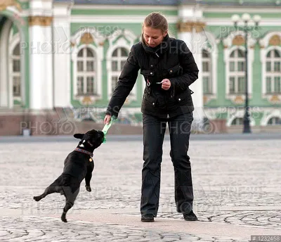 Идеальная собака для одинокой женщины: Верный друг и компаньон | DogsForum  | Дзен