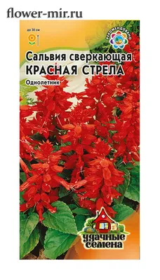 Сальвия (Шалфей) Красная Стрела 0,05 гр. серия Удачные Семена купить оптом  в Томске по цене 12,54 руб.