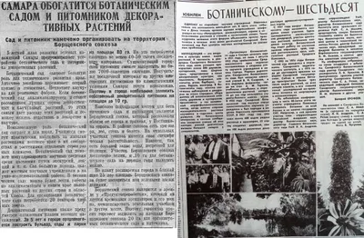 Стр. 63 журнала «Радио» № 6 за 1980 год