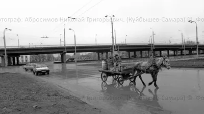 Владимир Катаев - «Сорняки за калиткой - 1», 2014 год, линогравюра, 63 Х 44  см, 80 Х 60 см: Описание произведения | Артхив