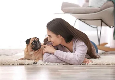 Большие породы собак – топ-15 крупных пород с фото – ProPlan.ru