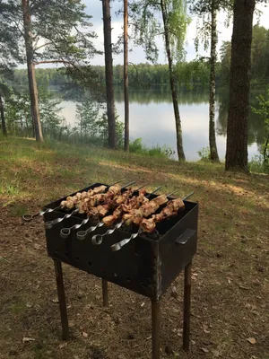 Шашлыки на природе вечером (75 фото) »