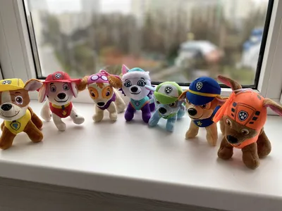 Набор фигурок Spin Master Paw Patrol - Щенячий патруль - Набор из 10  коллекционных фигурок 6065255 купить в Москве | Доставка по России.