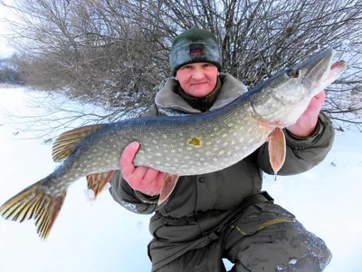 Зимняя рыбалка на щуку - Fishing Style