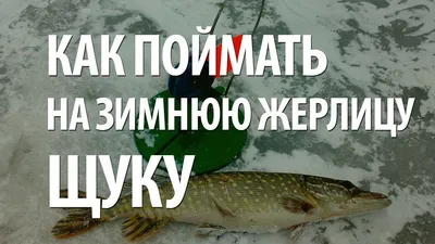 Зимняя рыбалка на щуку с помощью жерлицы: выбор снасти