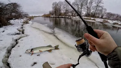 Ловля щуки зимой