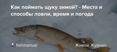 Блёсны для щуки зимой: вертикальные донные, колебалки