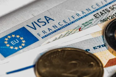 Требования к фото для визы во Францию в 2024 году