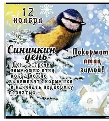 Кормление птиц зимой: что вы должны знать