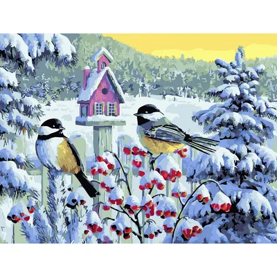 Картинки bird, зима, деревья, Снег, синица,синичка,ветка,ель - обои  1366x768, картинка №61456