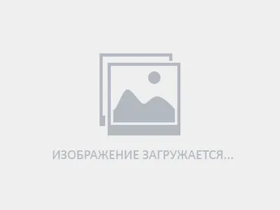 Торговое помещение, 9 м², снять за 15000 руб, Воронеж, улица Генерала  Лизюкова 25 | Move.Ru