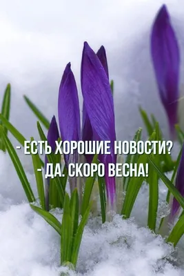 скоро весна картинки: 2 тыс изображений найдено в Яндекс.Картинках |  Остров, Весна, Солнечный