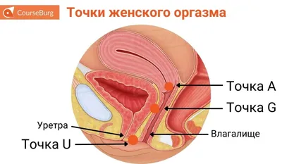 Жена любит еблю до сквирта (74 фото) - порно trahbabah.com