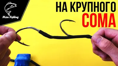 Донная Снасть на Крупного СОМА | Ловля с берега, лодки - YouTube