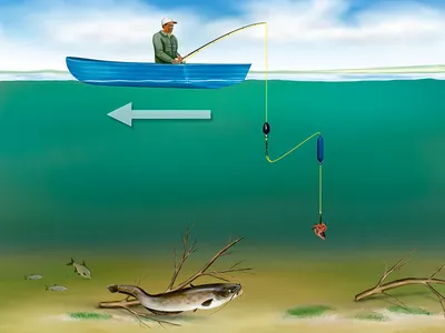 Как поймать сома на донку с берега — правильная оснастка и наживки |  Рыбалка Лучший отдых | Дзен