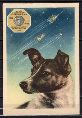 Чучела первых собак-космонавтов можно увидеть в музее на ВВЦ.