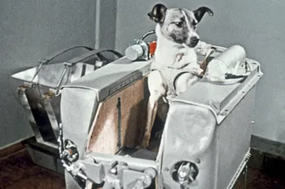 Собака-Космонавт: от Лайки до Чернушки» — создано в Шедевруме
