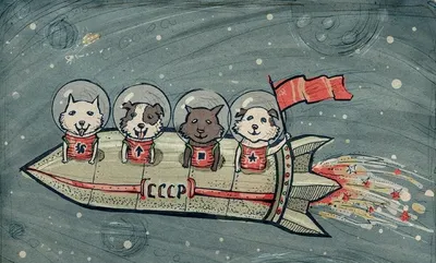 Лайка: героиня космоса, у которой не было шанса вернуться - BBC News  Русская служба