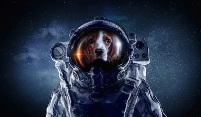 Танзания. 2009. Собака-космонавт Лайка - первое животное в космосе (Малый  лист. MNH OG)