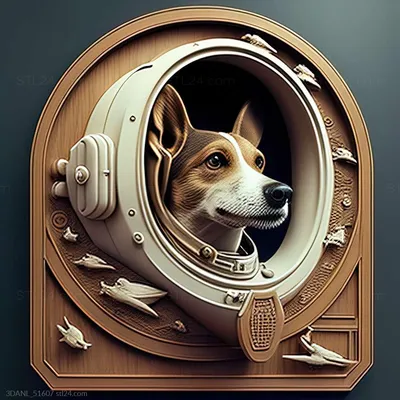Хвостатые космонавты: какие собаки побывали в космосе | Hill's