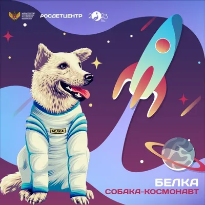 Найдена собака на пр. Космонавтов, Ухта | Pet911.ru