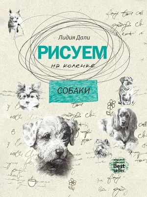 Купить APRO I.Q. сухой корм класса стандарт для взрослых собак всех пород и  размеров со вкусом ягненка с доставкой по Кыргызстану в интернет  зоомагазине animal.kg