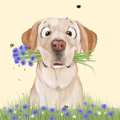 Создать мем \"собака в цветах, собака с цветком, собака с букетом\" -  Картинки - Meme-arsenal.com
