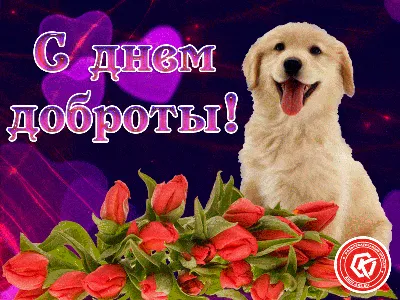 Собака с букетом цветов - весенний постер - купить в Петербурге