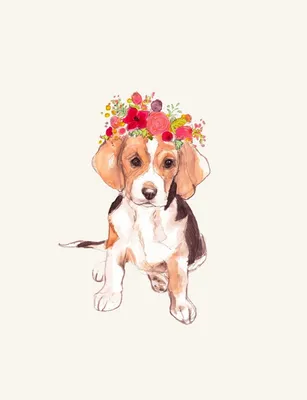 Фото собаки с цветами в зубах фотографии