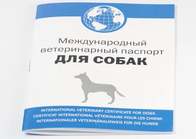 Ф1, Евросертификат для кошек и собак. Срочное оформление - Тест на  бешенство Справка собаки выезд за границу Официально ветпаспорт А вы берете  своих любимцев с собой в путешествие? Сегодня это уже далеко