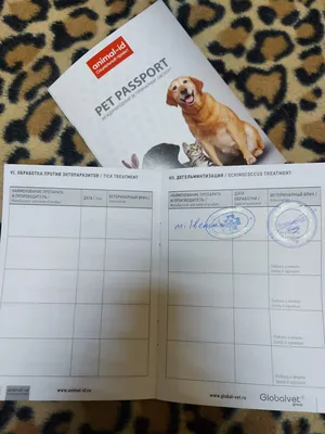 Международный ветеринарный паспорт задним числом