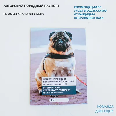 Ветпаспорт - не все документы собаки. Наших щеночки с док-тами КСУ! От: 10  000 грн. - Собаки Киев на Olx
