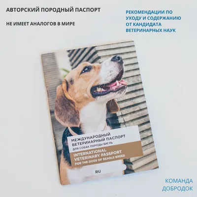 Запуталась в вакцинациях. - Вакцинация, ветпаспорт, уколы - Лабрадор.ру  собаки - ретриверы