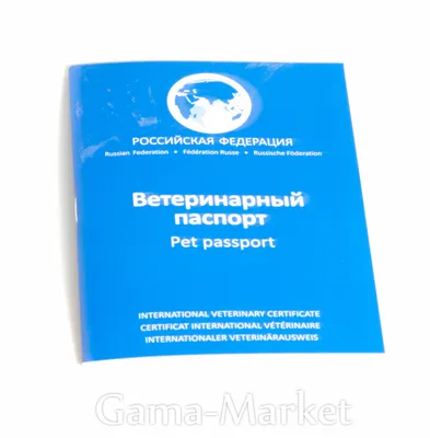 Ветеринарный паспорт для собаки | Hill's