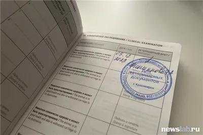 Ветпаспорт универсальный для кошек и собак - Интернет-зоомагазин  \"БиМ\"Интернет-зоомагазин \"БиМ\"