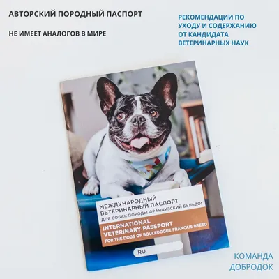 Ветеринарный паспорт для собаки – что это и как сделать ветпаспорт?