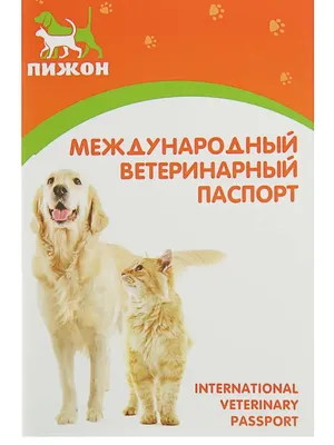Ветпаспорт 📕нельзя назвать полноценным \"собачьим\" удостоверением. По сути,  это медицинская карта, в которую на протяжении всей жизни… | Instagram