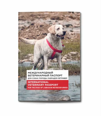 Ветпаспорт - не все документы собаки. Наших щеночки с док-тами КСУ! От: 10  000 грн. - Собаки Киев на Olx