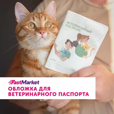 Ветпаспорт, прививки и переноска: как перевезти самолетом по России и за  рубеж любимого питомца / Новости общества Красноярска и Красноярского края  / Newslab.Ru