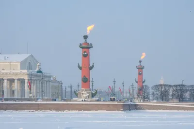 Декабрь будет теплым»: синоптик рассказал, какой будет зима в  Санкт-Петербурге и Ленинградской области - KP.RU