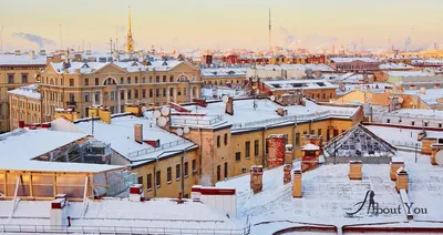 Что посмотреть зимой в Санкт-Петербурге | About-You.su | Дзен