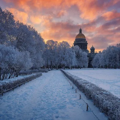 Зимний Петербург - 88 фото