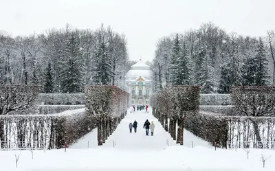 Музей-заповедник Царское село зима 2023