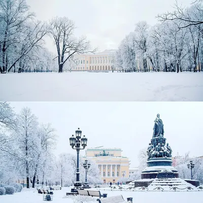 Самые сказочные снимки снежного Петербурга - KP.RU