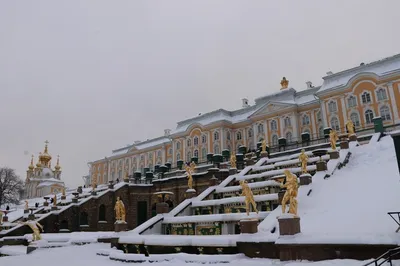 Зимние экскурсии в Петергоф из Санкт-Петербурга ❄ 2023-2024