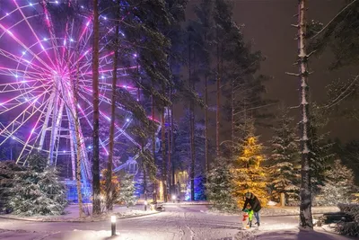 Топ-8 мест, которые нужно посетить зимой в Санкт-Петербурге и окрестностях